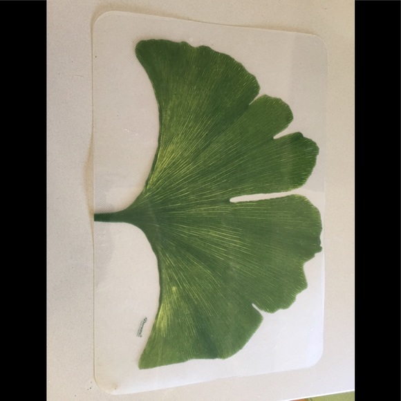 Other - Placemats. PVC set of 6